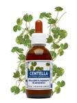 3,33 3,15 Ingredienti e tenore delle sostanze caratterizzanti per dose max giornaliera corrispondente a 180 gocce (6 ml di prodotto): Acqua, Alcool etilico, Calendula (Calendula officinalis L.