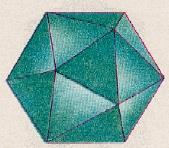 dodecaedro pentagonale (dodecaedrano C H )