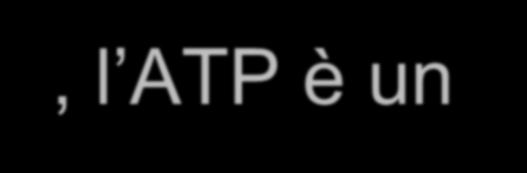 Idrolisi di ATP ATP + 2 ADP + P 4 2 G ' per l idrolisi di ATP ad ADP è 31 kj/mol Relativamente ad ADP + P 4 2, l ATP è un composto ad alta energia.