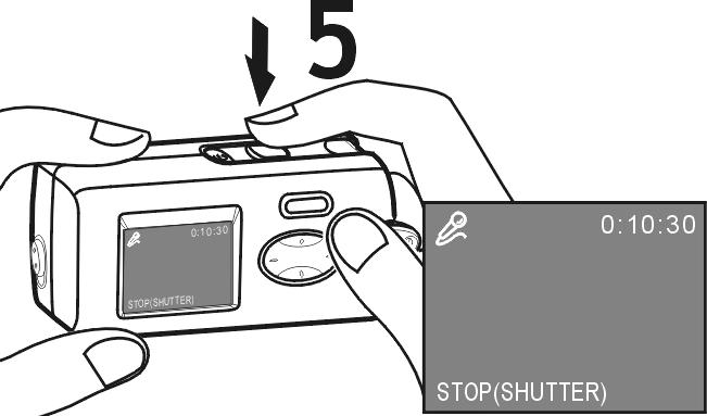 Nota: Lo schermo LCD si spegnerà entro pochi secondi per risparmiare energia. Premere il pulsante Ctrl per riaccenderlo. 5.