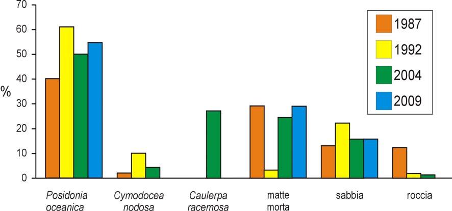 Figura 25: percentuale dei metri lineari occupati da ciascuno degli attributi descritti