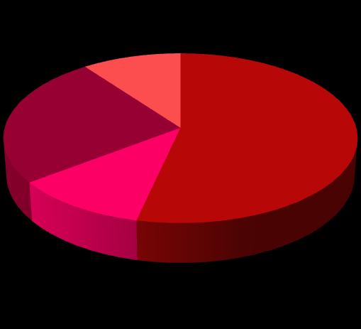 Il budget per le attività Excellent Science 10% 25% 54% 11% European Research Council Future