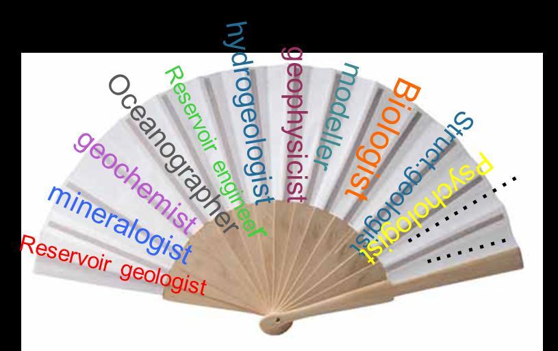 Scienza applicata Lo stoccaggio geologico della CO2: un campo multidisciplinare Molte discipline impegnate per uno scopo