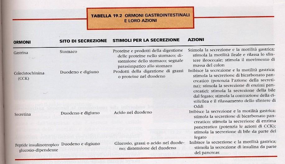 - CEFALICA: è simile alla gastrica, mediata sia da vago che da gastrina.