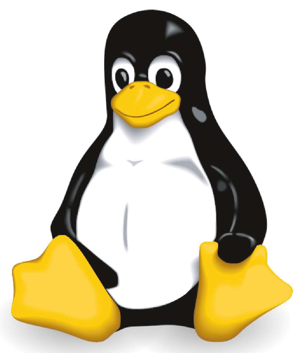 Linux Sistema operativo modulare con un kernel centrale Particolarmente versatile (funziona su cellulari, elettrodomestici e molti