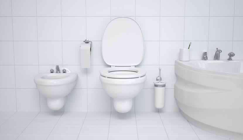 ECOLABEL DISINCROSTANTE WC Detergente disincrostante per la pulizia del wc Il maggior problema che si riscontra nelle toilette sono tracce di ruggine e calcare nei