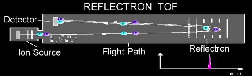 come il reflectron (riflettore elettrostatico), che permette un netto miglioramento della risoluzione.