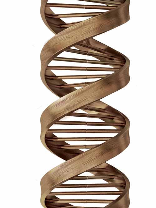 LE PIÙ SOLIDE TECNOLOGIE DEL LEGNO SONO IL NOSTRO DNA SCM.