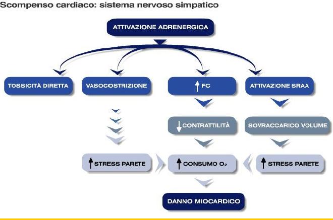 Corso di Fisiopatologia degli Apparati Cardiovascolare e Respiratorio Prof.