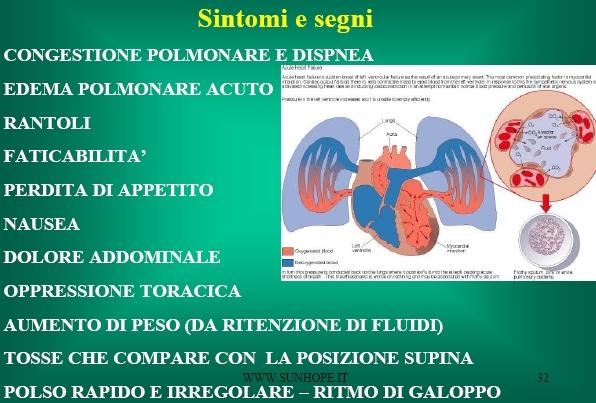 Trasudato dal letto