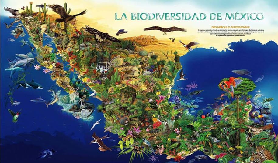 La Biodiversità del Messico Annovera 33 beni nella lista del Patrimonio culturale e naturale dell UNESCO.