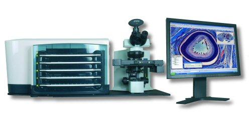Rete Telepatologia del Piemonte Acquisizione in digitale delle immagini microscopiche tramite strumenti