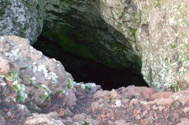 La Grotta dei ladroni L ultima tappa della nostra escursione è stata la grotta dei Ladroni chiamata così in quanto si pensa che in essa si nascondessero tesori.
