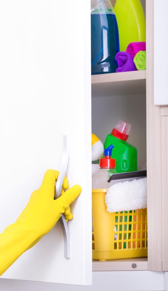 Conservazione di sostanze chimiche per uso domestico Fare un giro della casa per verificare quali sostanze chimiche per uso domestico sono presenti nell abitazione e dove sono situate Tenere fuori