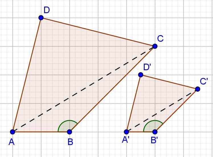 6) Considera due quadrilateri che hanno tre angoli congruenti e due lati consecutivi in proporzione. Dimostra che sono simili.