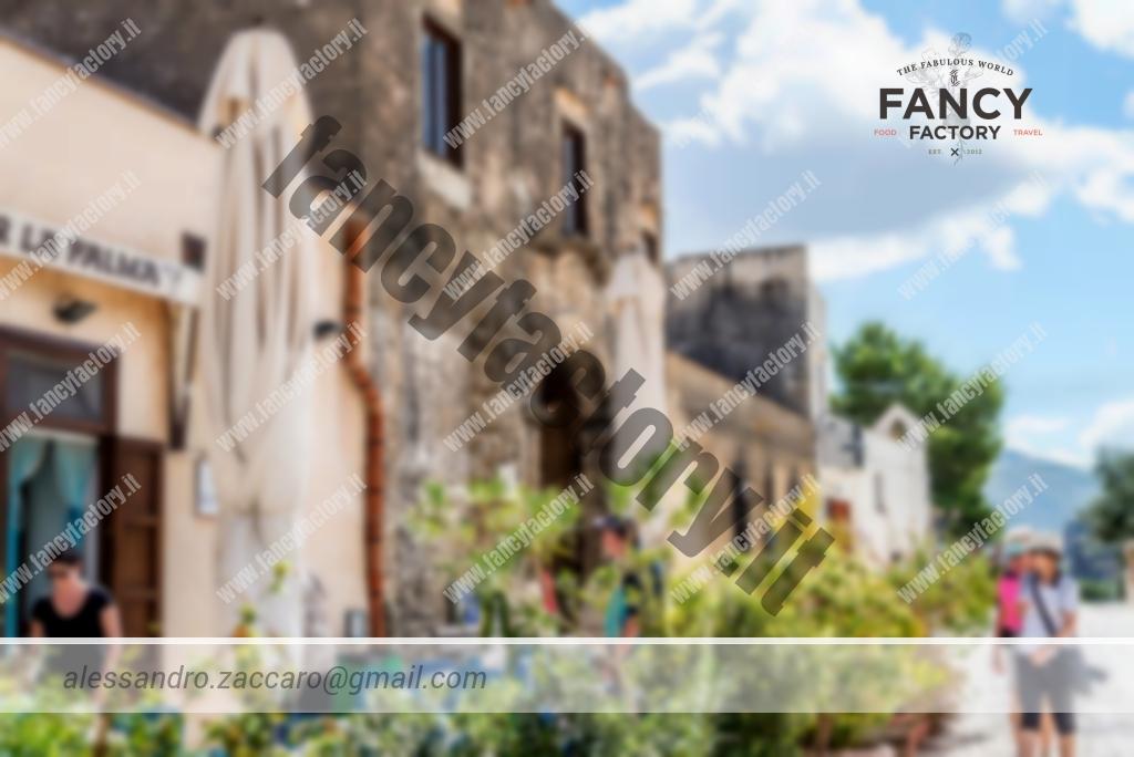 Abbiamo visitato posti fantastici tra i quali Erice, Segesta, la Tonnara di Scopello, la riserva dello Zingaro e la stessa Trapani. Erice, è un piccolo borgo medioevale arroccato a circa 750 mt.