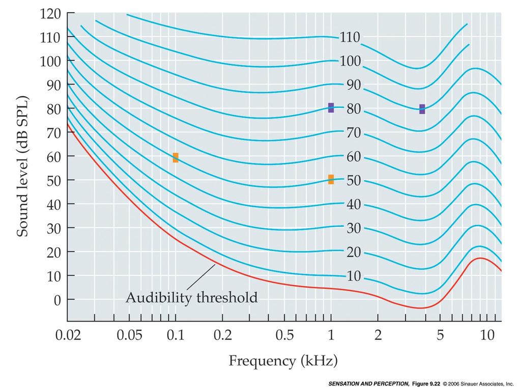 Percezione acustica ambientale //Psico-acustica Lo studio dei correlati psicologici alla dimensione fisica degli stimoli acustici un ramo della psicofisica Livello psicologico dipende da un insieme