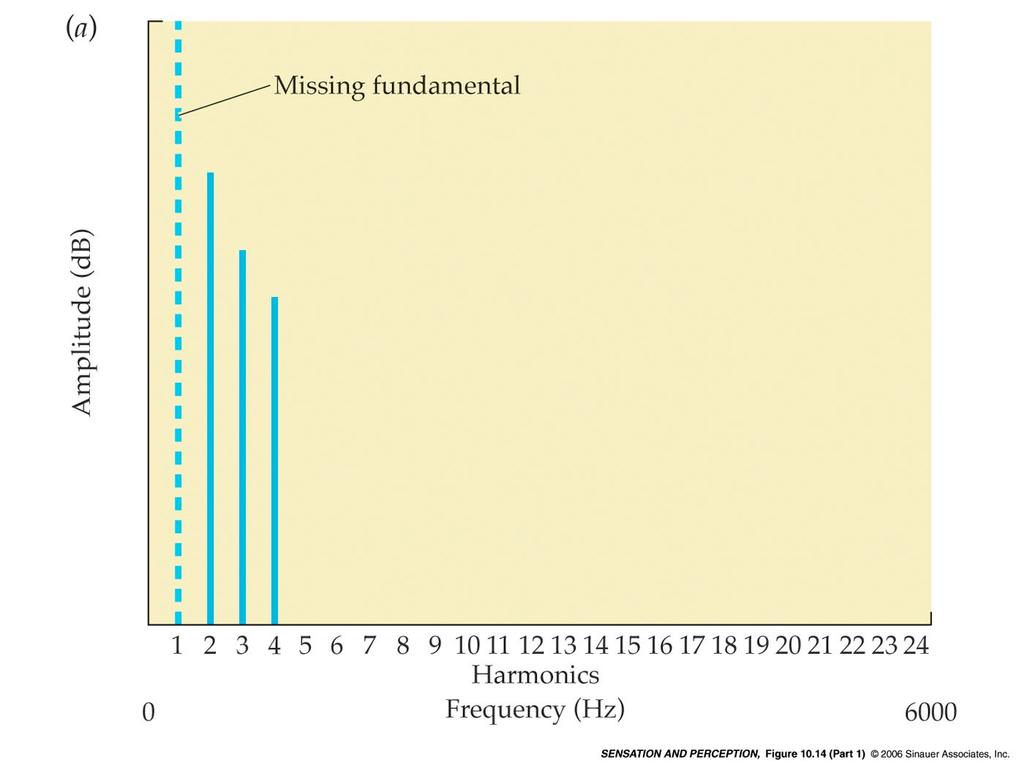 Percezione acustica ambientale //Suoni complessi e armoniche Cosa accade quando la prima armonica viene a mancare?