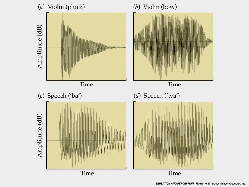 Percezione acustica ambientale //Attacco e caduta di un suono Attacco: La parte di un