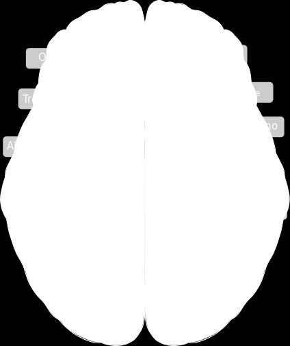 cervello umano con evidenziati i