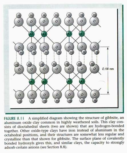 La reattività superficiale del suolo: ossidi ed idrossidi di Fe e Al Contribuisce alla reattività superficiale con cariche ph-dipendenti.