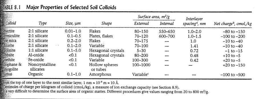 La reattività superficiale del suolo I minerali argillosi espandibili contribuiscono allo sviluppo di superficie specifica ed