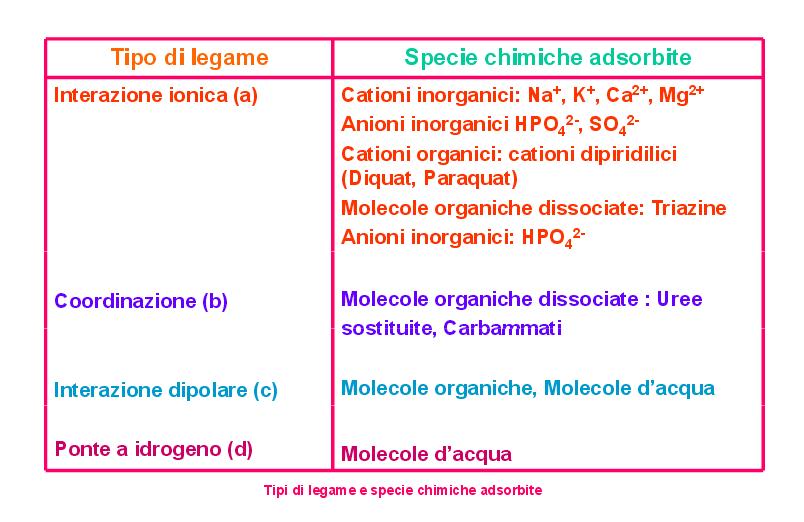 I colloidi del suolo agiscono come scambiatori I primi due tipi di legame consentono l