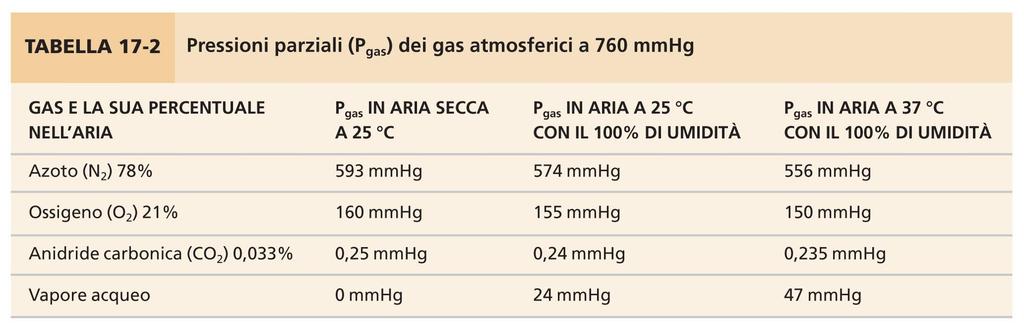 Pressioni parziali