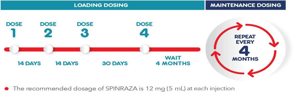 Come si prende Spinraza? 2. Posologia La dose raccomandata è 12 mg (5 ml) per somministrazione con 4 dosi di carico ai Giorni 0, 14, 28 e 63.