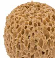 natural sponge