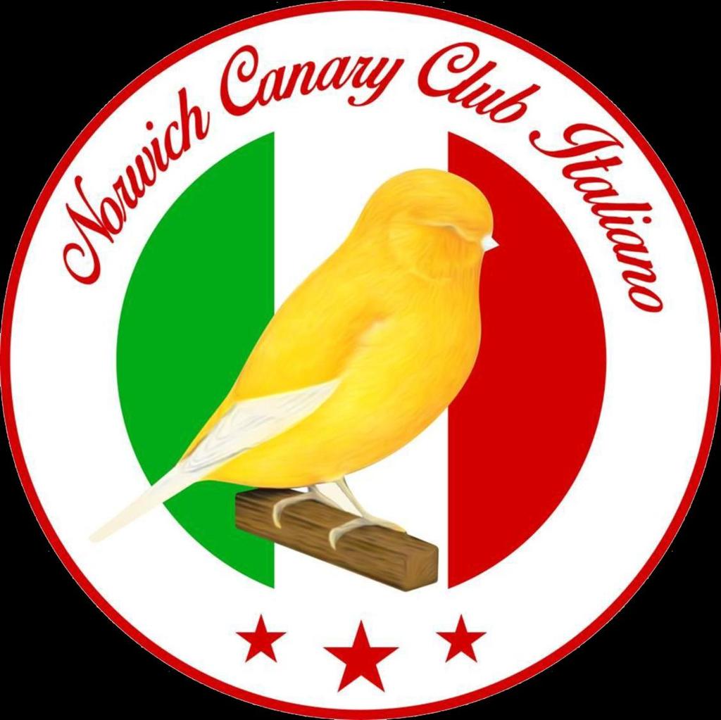 NORWICH CANARY CLUB ITALIANO