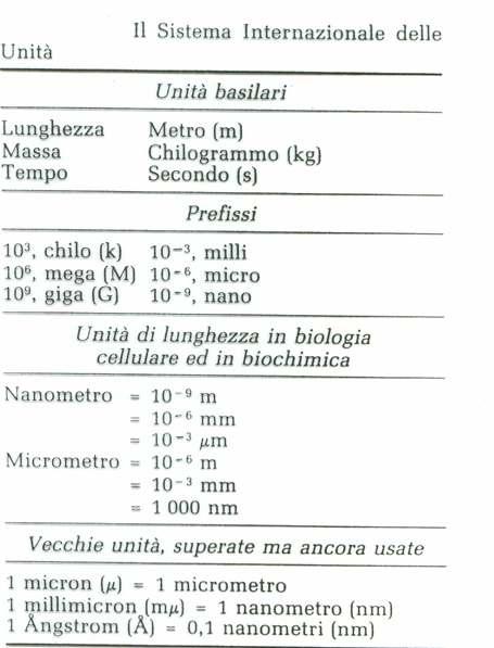 Dimensioni delle cellule La tabella a destra riporta le più importanti unità di lunghezza internazionali.