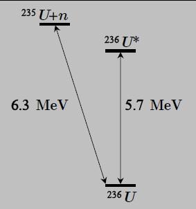 Perche' 235U e 238U hanno un cosi' diverso comportamento? 235 U e' pari-dispari (Z-N), 238U e' pari-pari (Z-N).