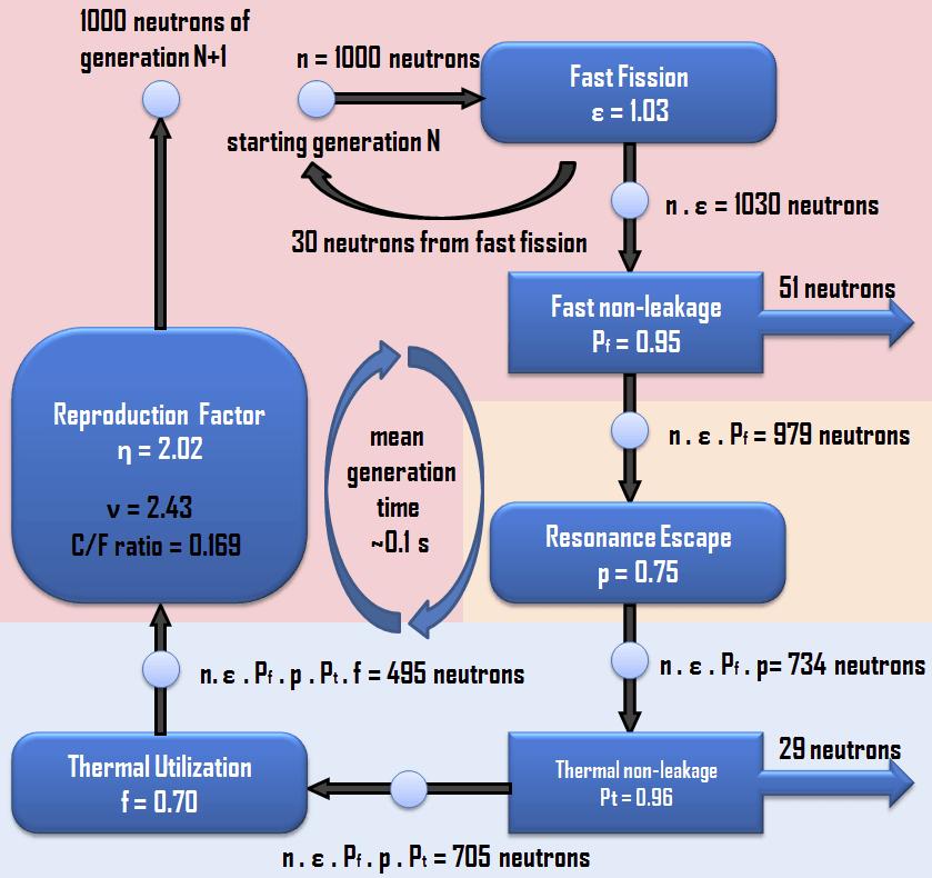 Ciclo di fissione Diversi processi contribuiscono a modificare il n.