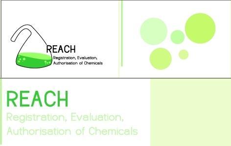 sviluppoeconomico.gov.it I principi fondamentali del REACH Il REACH sposta sull industria l obbligo di fornire informazioni sulle sostanze chimiche circolanti in Europa.