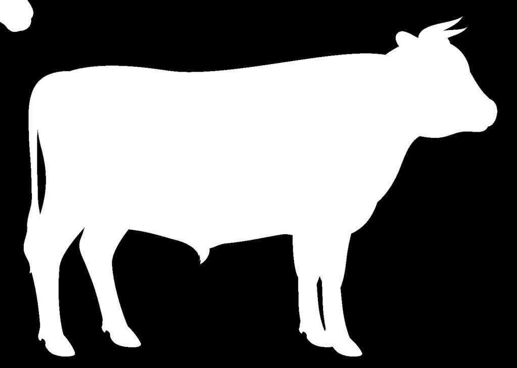 Prodotti svizzeri Chi consuma carne, uova e latticini conformi agli standard di produzione svizzeri promuove un allevamento degli animali rurale nel rispetto di standard minimi definiti dalla legge