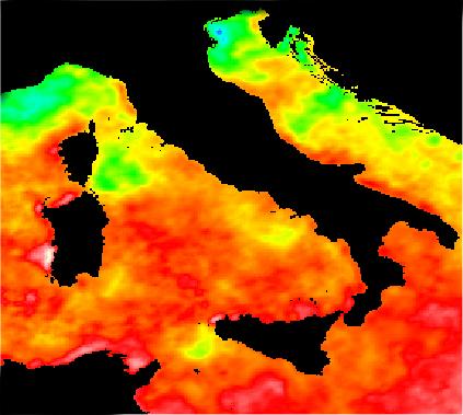 Temperatura del mare 15 settembre 2003 (Fonte: Lamma AVHRR NOAA 4km) L estate 2003 è stata caratterizzata da un ondata di caldo