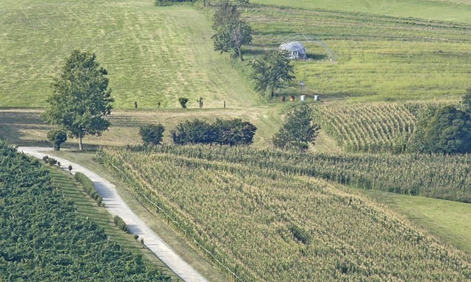 Per informazioni www.agricoltura.regione.lombardia.