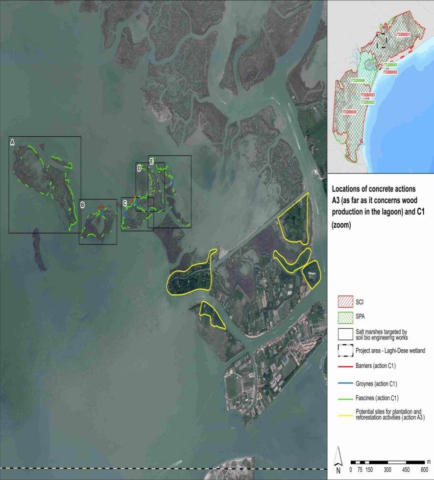 An integrated approach to the sustainable conservation of intertidal