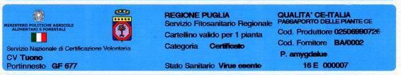 Un livello più elevato di garanzie, su scala volontaria, è istituito a livello nazionale con le produzioni sviluppate nell ambito del Servizio Nazionale di Certificazione Volontario del