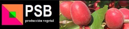 Species Breeder code CPOV Patent Chilling hour Flowering 2015 Harvest 2015 Apricot L8-4 MIKADO 200-250 CH 27-feb 06-mag Apricot S 117-7 LUCA 200-250 CH 27-feb 07-mag Apricot 435-15 COLORADO 250-300