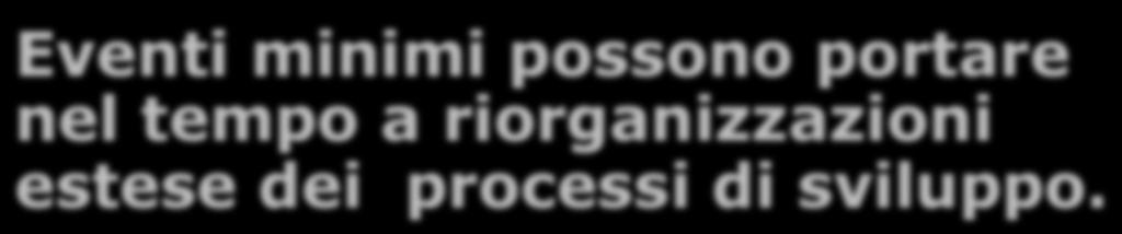 Temperamento e ambiente Eventi minimi possono portare nel tempo a riorganizzazioni estese dei