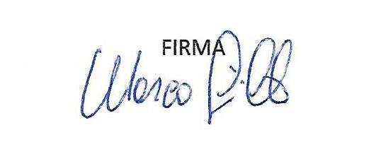 Il sottoscritto MARCO GRILLO nato a ROMA il 27/02/1968 dichiara di aver preso visione dell informativa di cui all art. 13 del Decreto legislativo 30 giugno 2003 n.