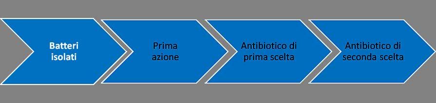 Le Linee Guida Pet 5.