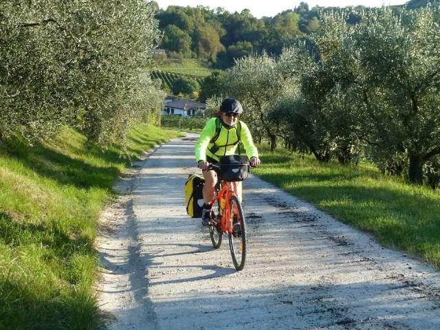 Ricerca ENIT 2014 Il profilo del Cicloturista in Italia Il ciclista per le 4 stagioni In estate