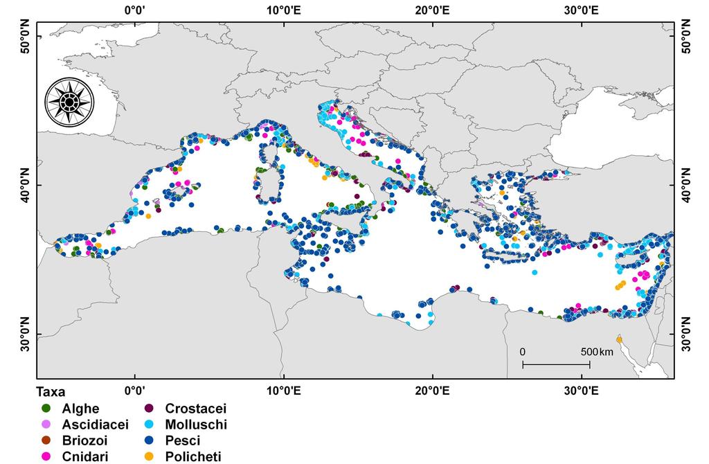 DISTRIBUZIONE DELLE