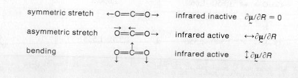 Nuclei oscillanti Distanza di equilibrio tra i nuclei (contributo nullo