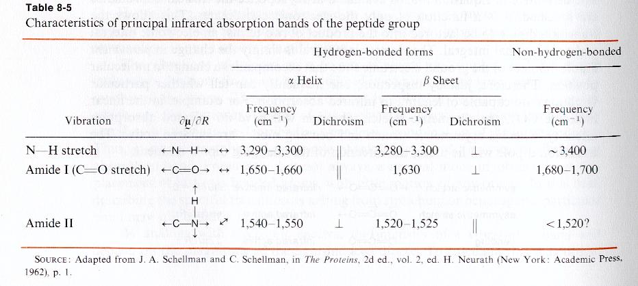 Polipeptidi e proteine Rapporto tra gli stati vibrazionali e le strutture secondarie Analisi di 3 bande principali: 1. Allungamento N-H, 3300 cm -1, polarizzato lungo N-H 2.