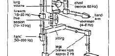 rigidi mx&& + kx = 0 Soluzione: