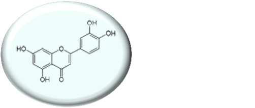 responsabili della Neuroinfiammazione Ultra-microcomposito PEA-LUT